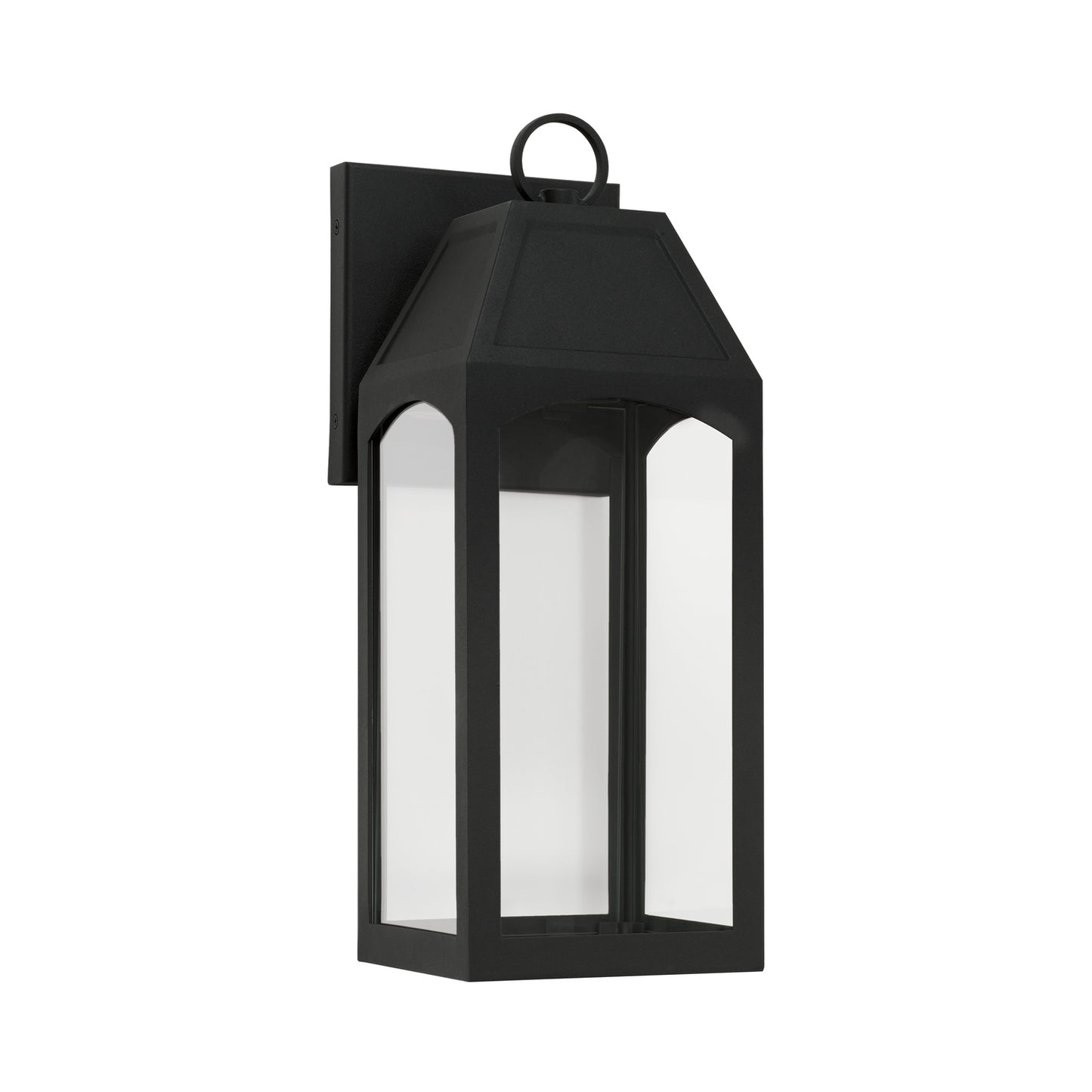 Capital Burton 1-Light Outdoor Wall Lantern