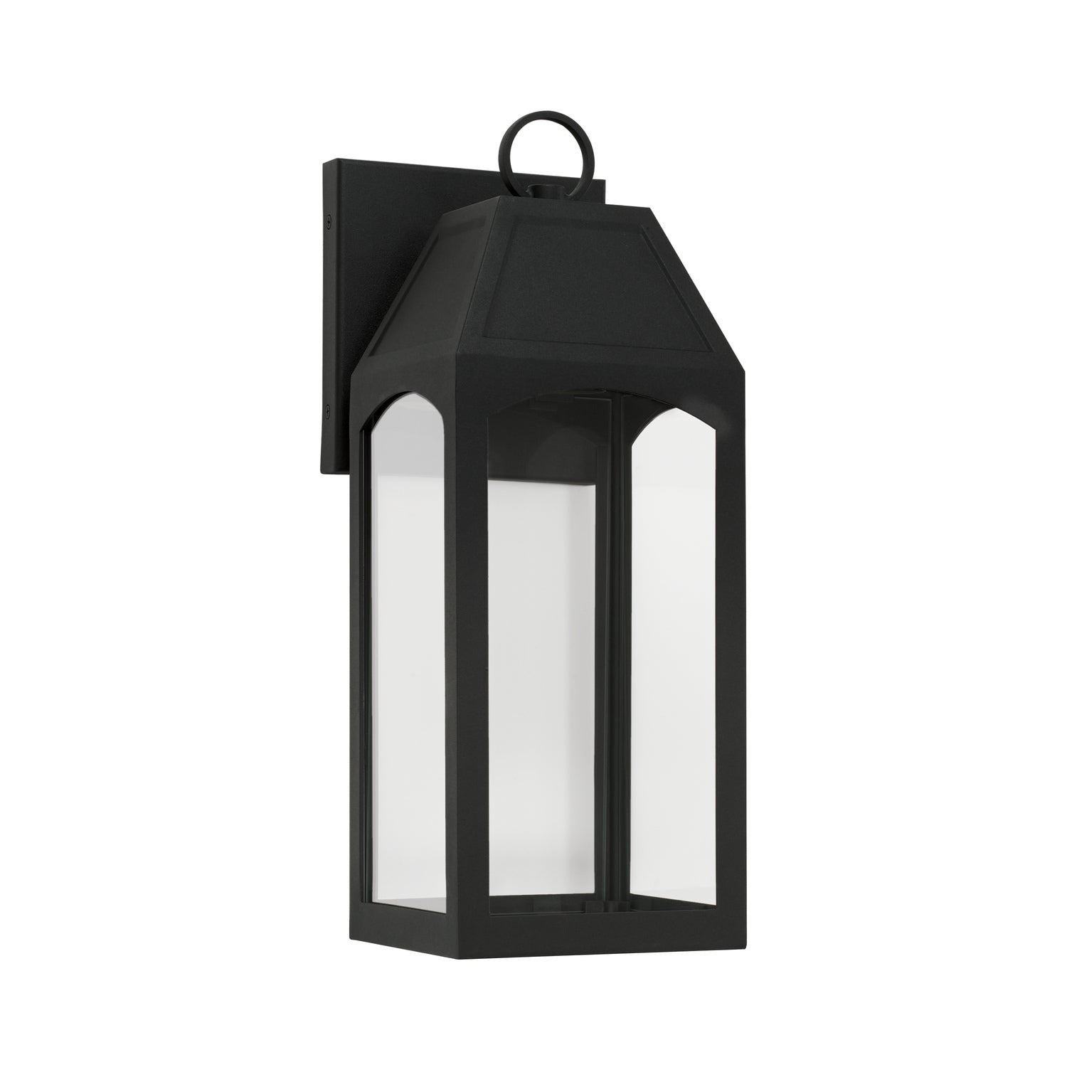 Capital Burton 1-Light Outdoor Wall Lantern