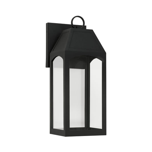 Capital Burton 1-Light Outdoor Wall Lantern