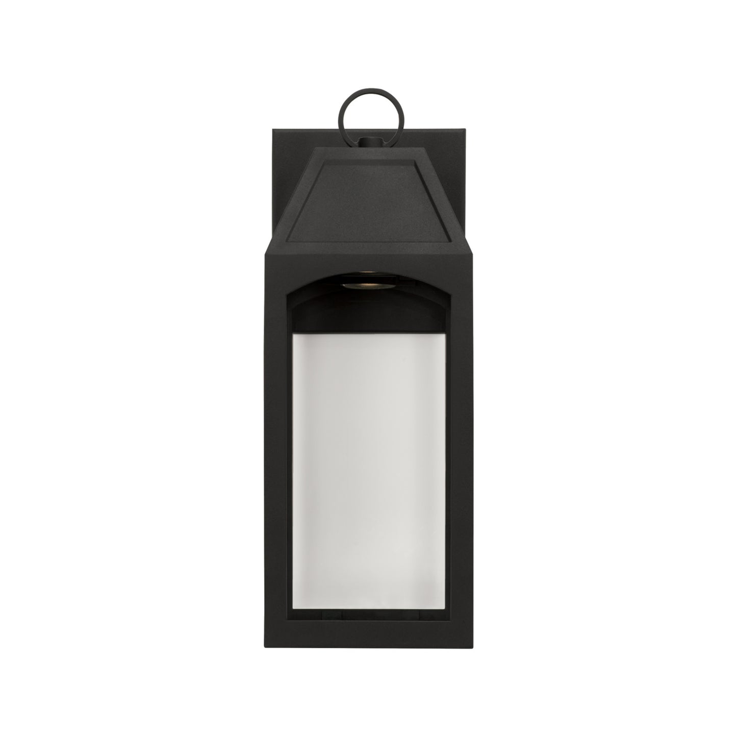 Capital Burton 1-Light Outdoor Wall Lantern in Black