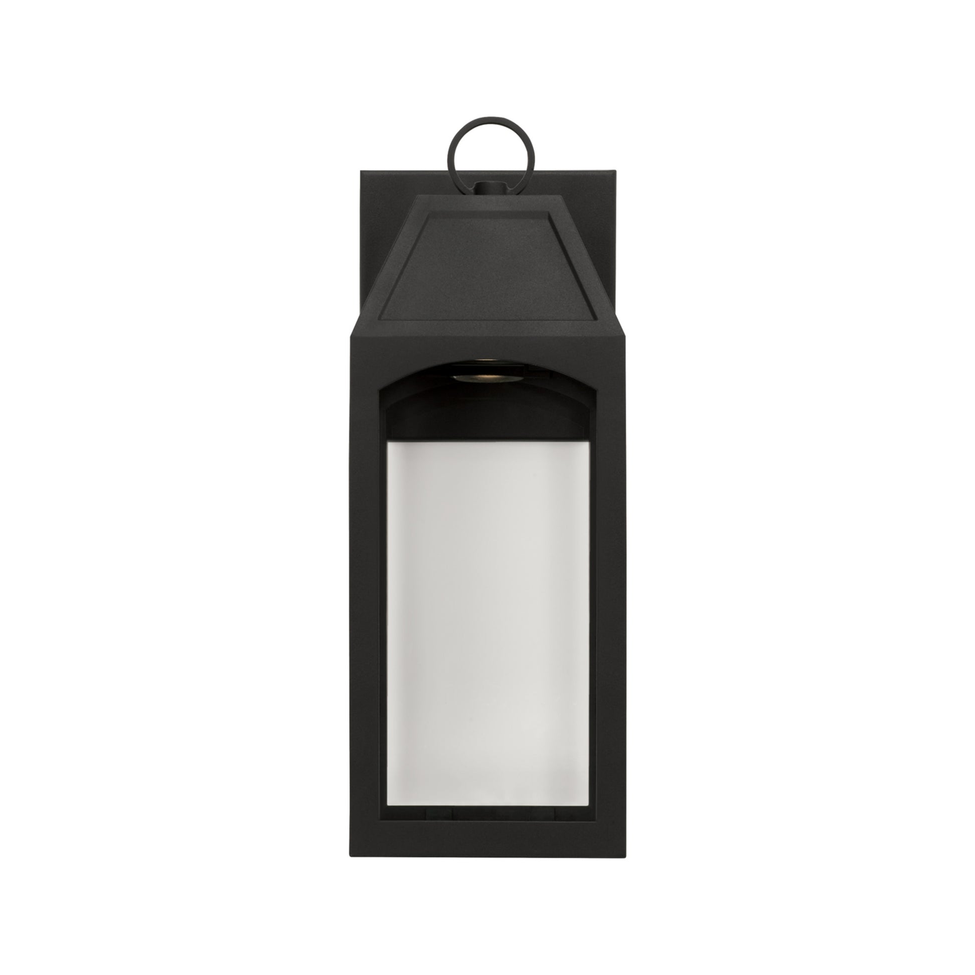 Capital Burton 1-Light Outdoor Wall Lantern in Black