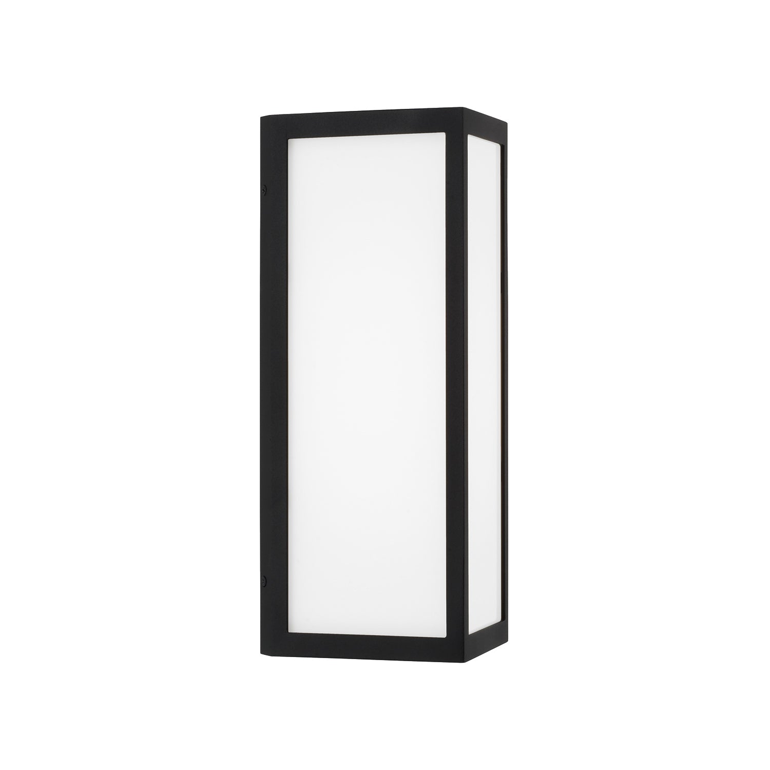 Capital Irvin Small Wall Lantern