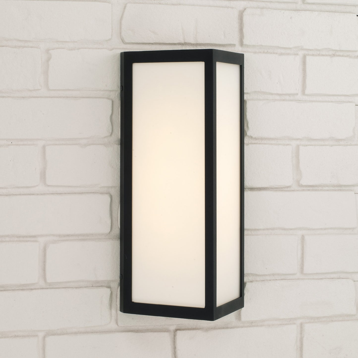 Capital Irvin Small Wall Lantern in Black
