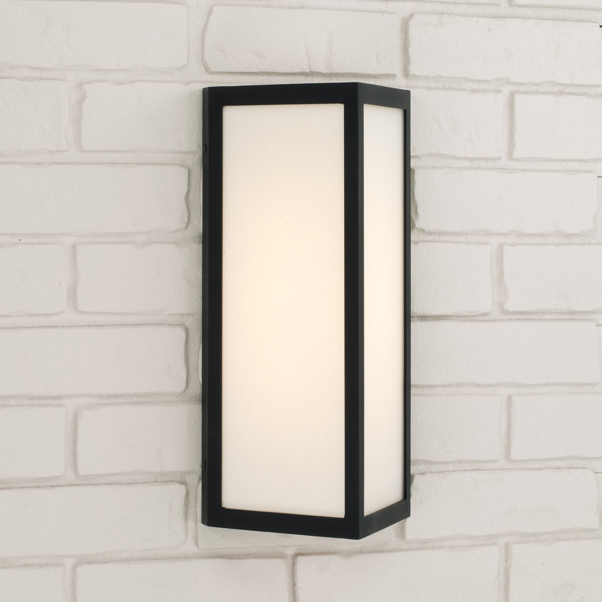 Capital Irvin Small Wall Lantern in Black