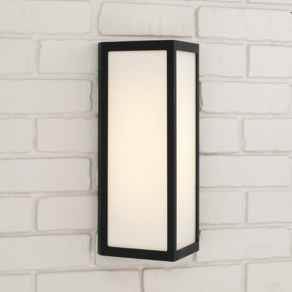 Capital Irvin Small Wall Lantern in Black