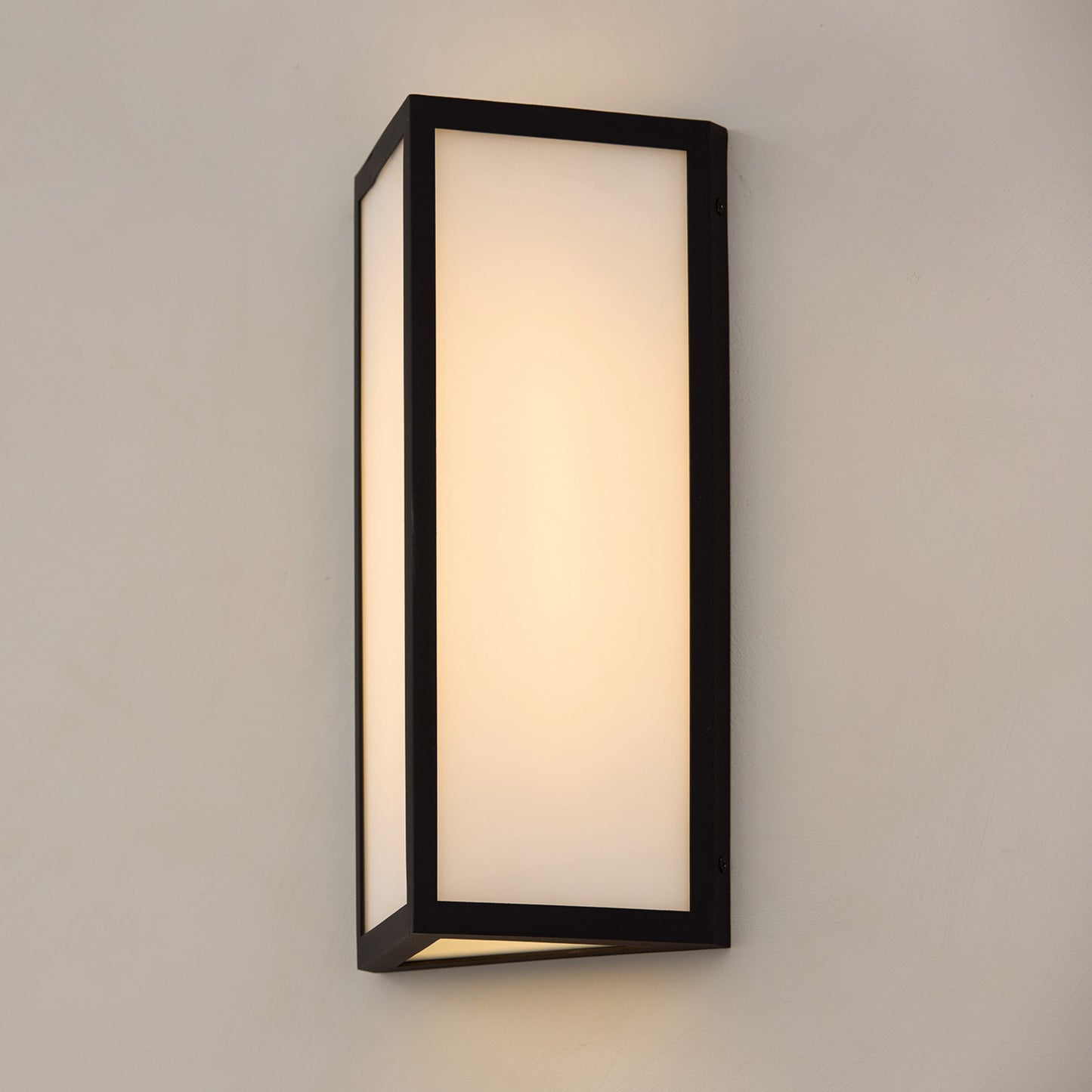 Capital Irvin Small Wall Lantern in Black