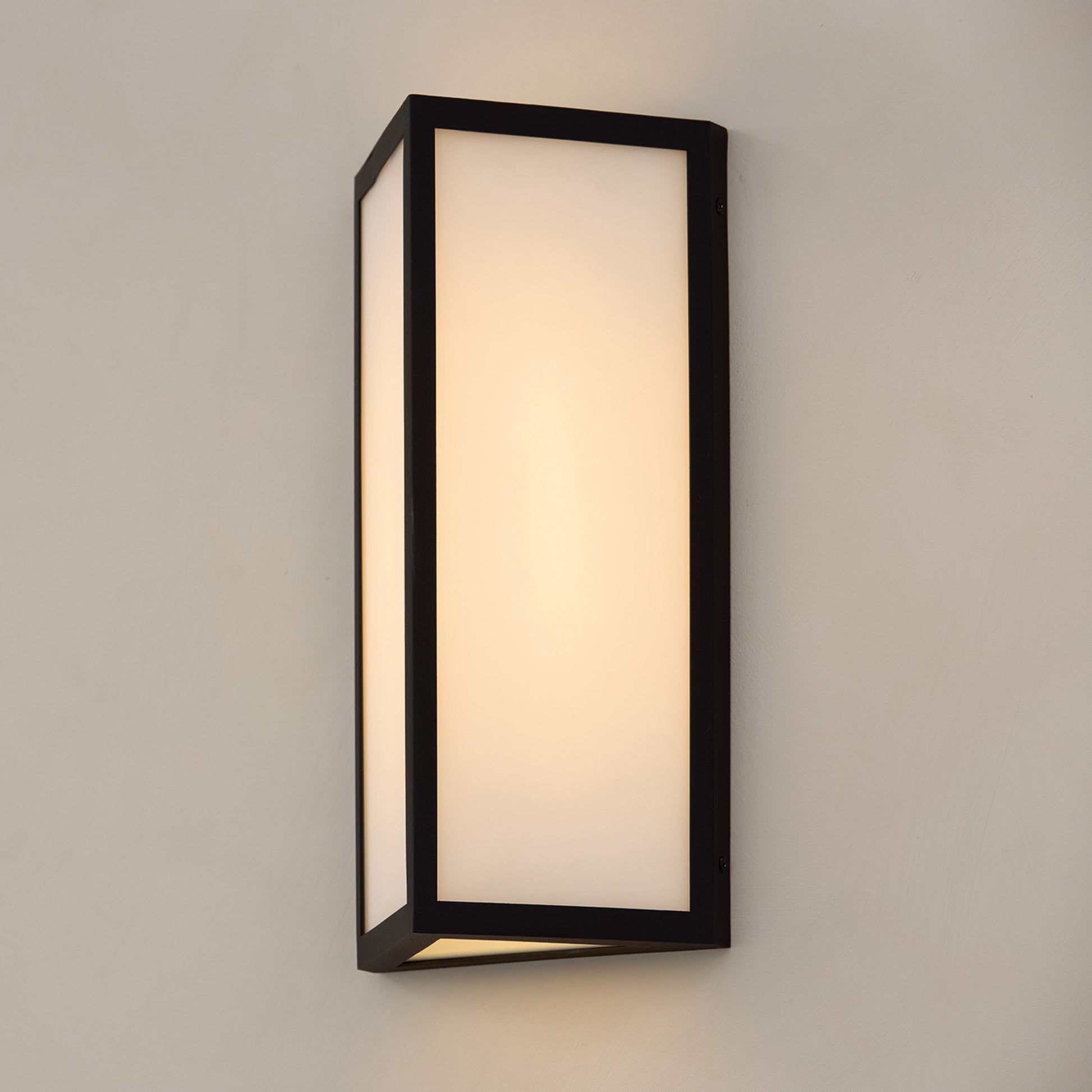 Capital Irvin Small Wall Lantern in Black