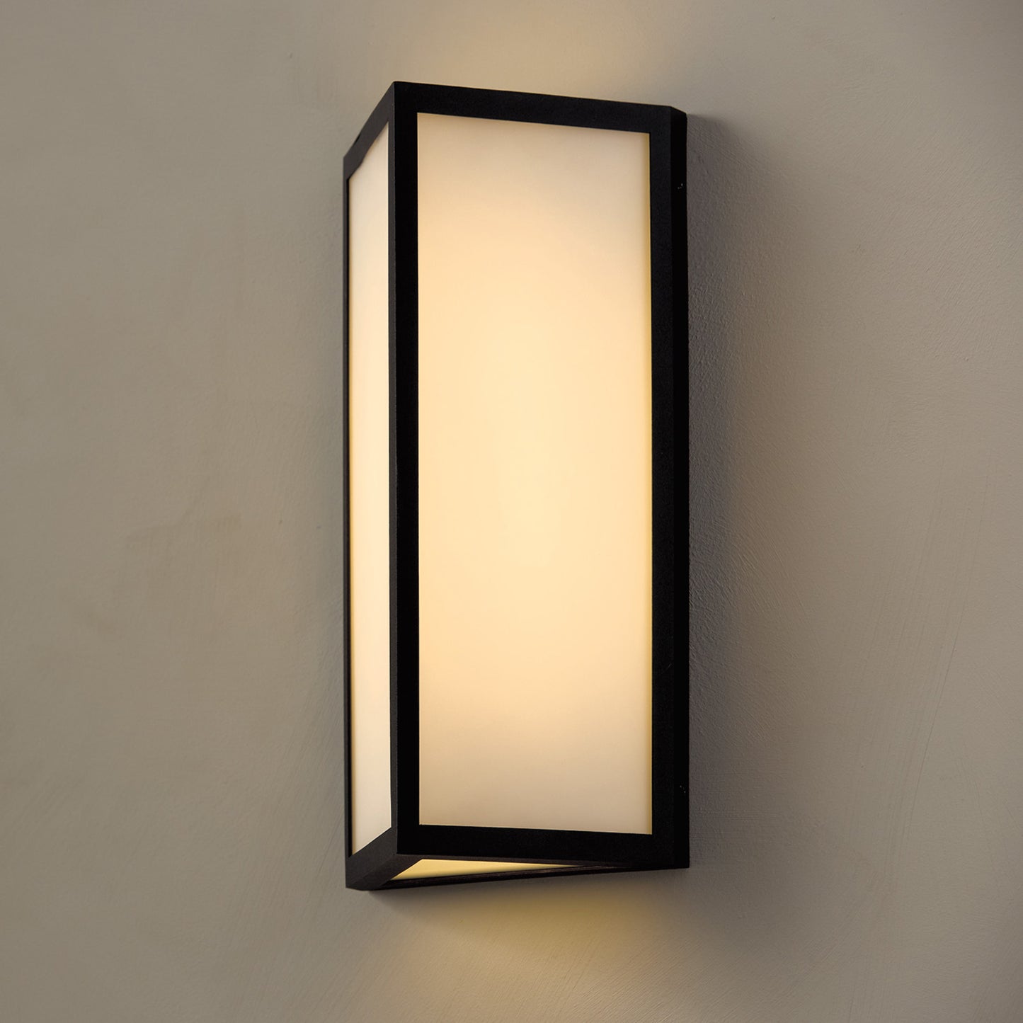 Capital Irvin Small Wall Lantern in Black