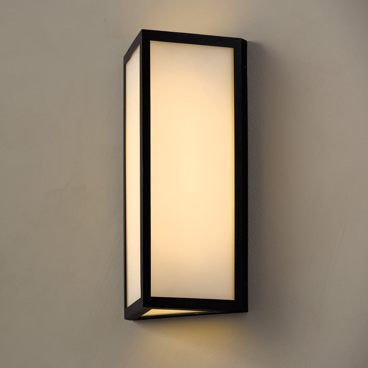 Capital Irvin Small Wall Lantern in Black
