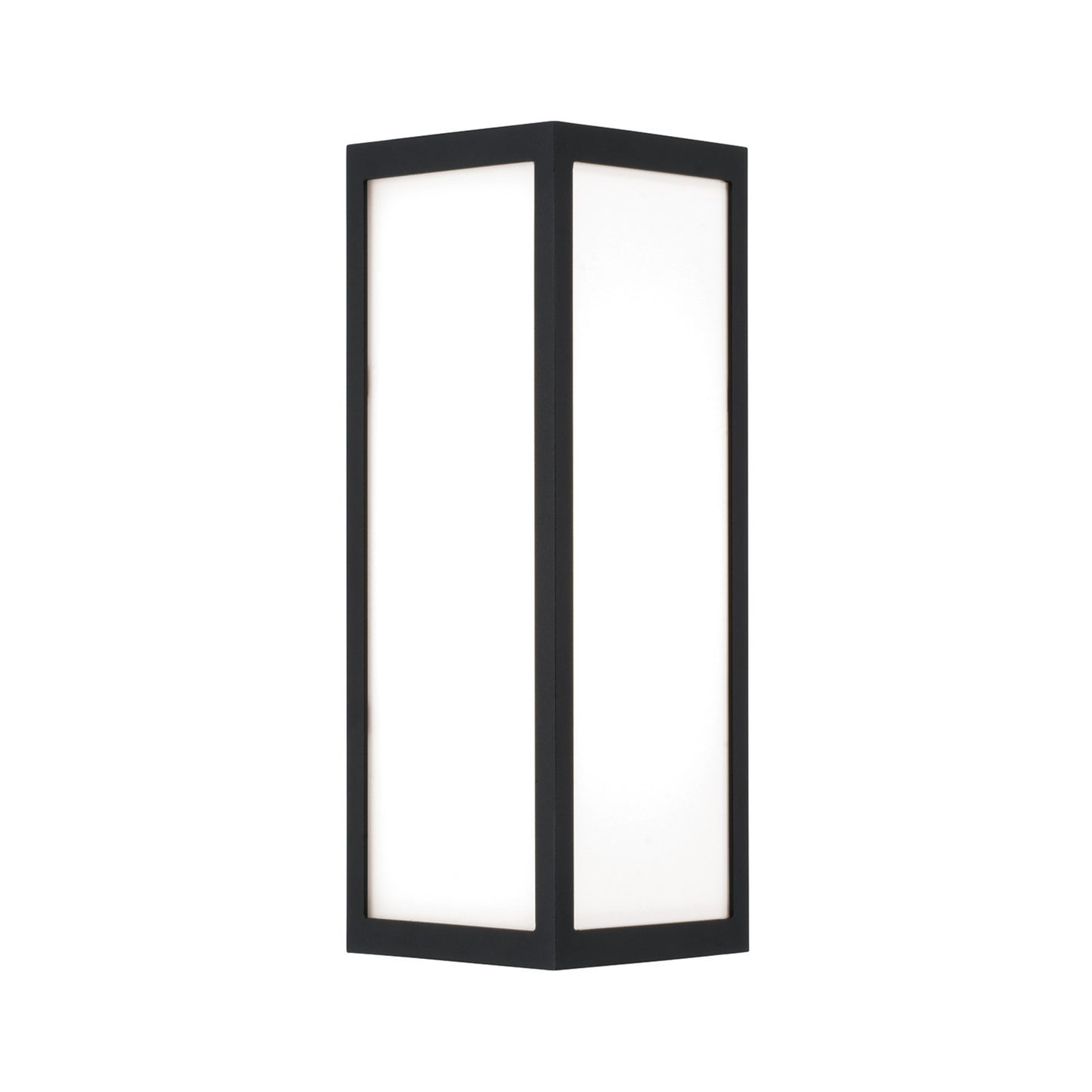 Capital Irvin Small Wall Lantern in Black