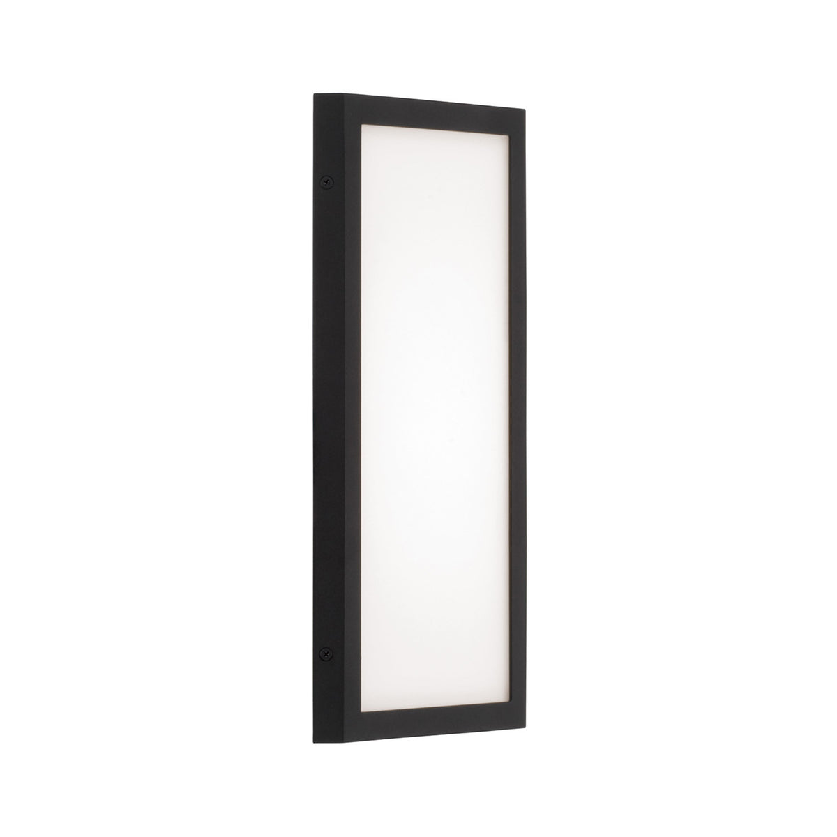 Capital Irvin Small Wall Lantern in Black