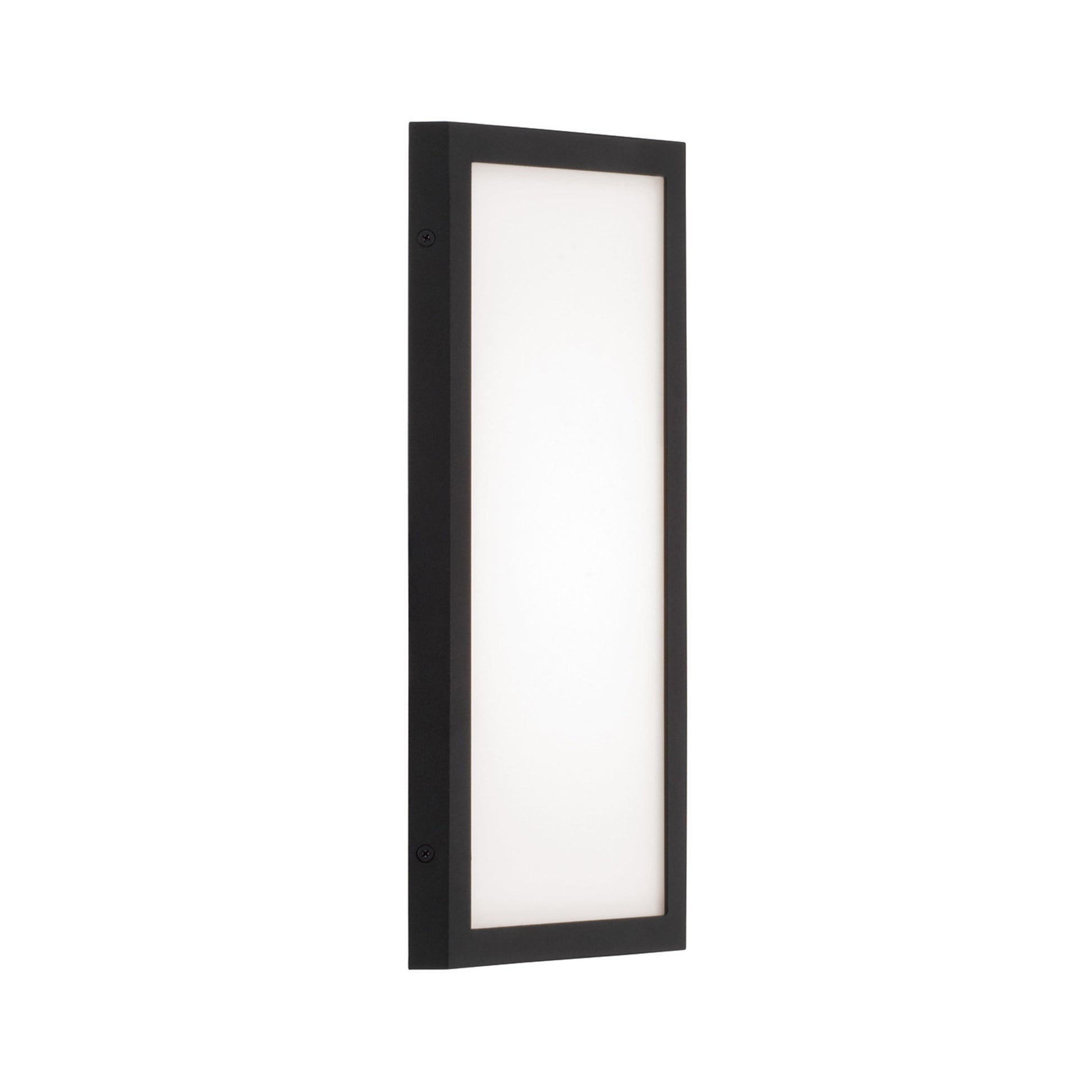 Capital Irvin Small Wall Lantern in Black
