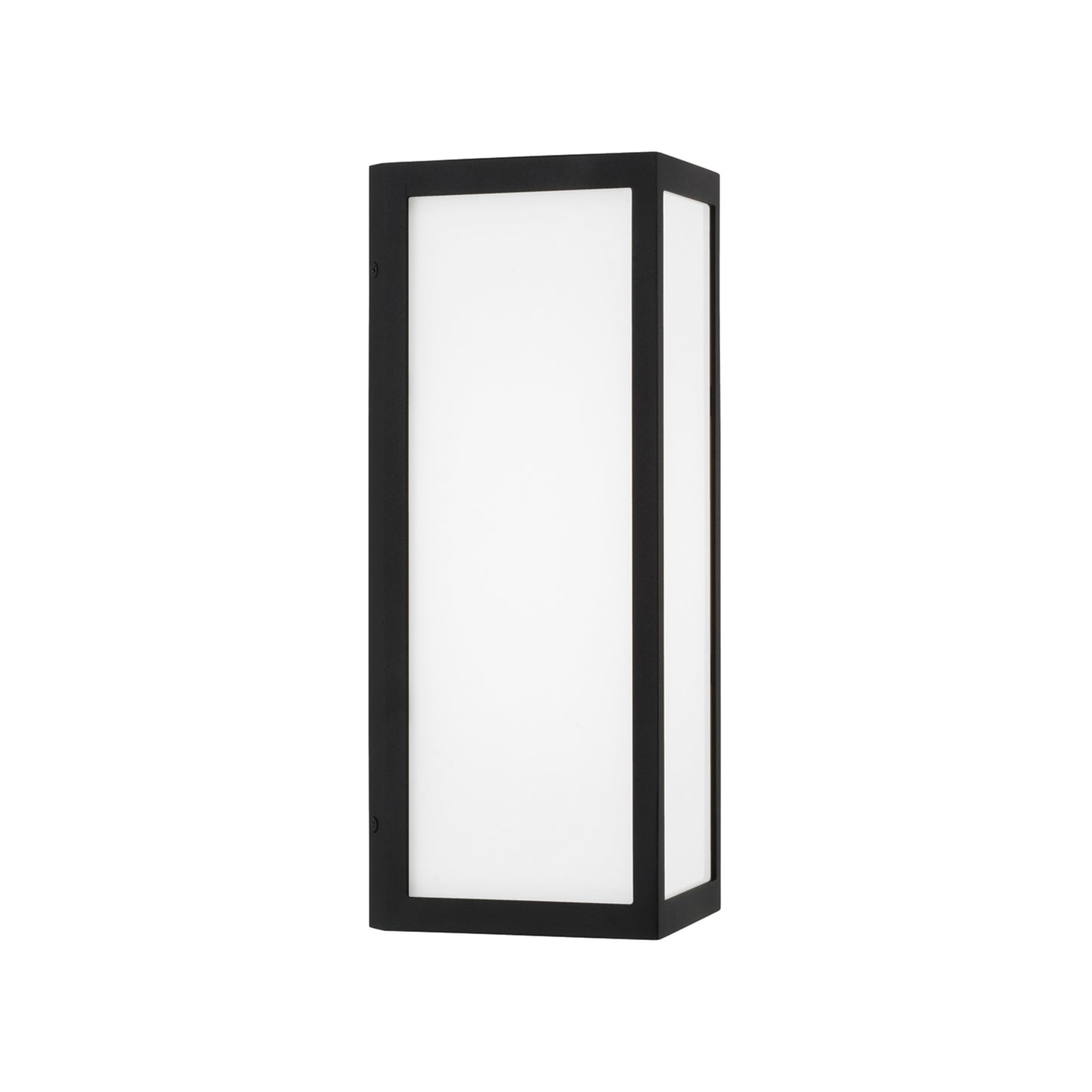 Capital Irvin Small Wall Lantern in Black