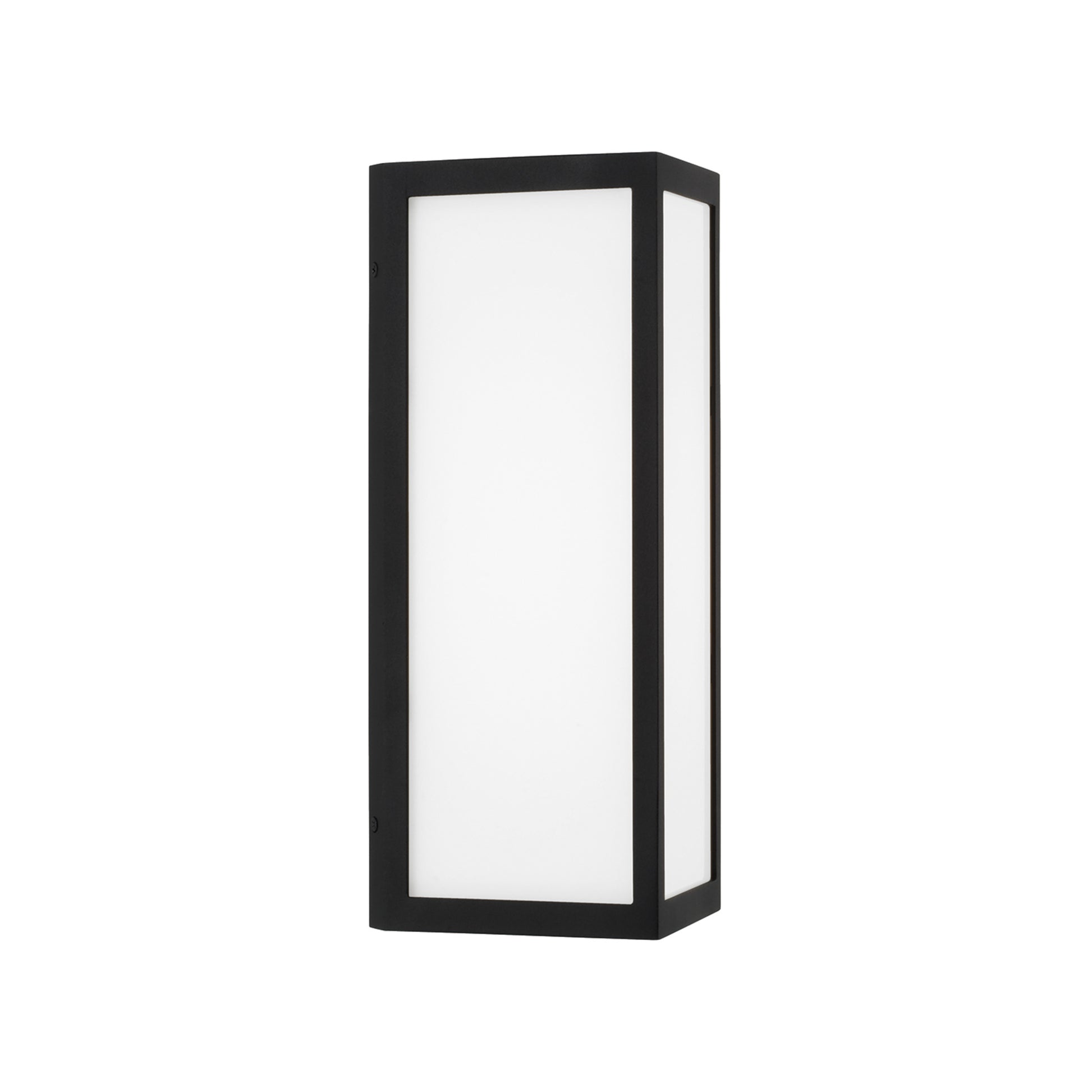 Capital Irvin Small Wall Lantern in Black