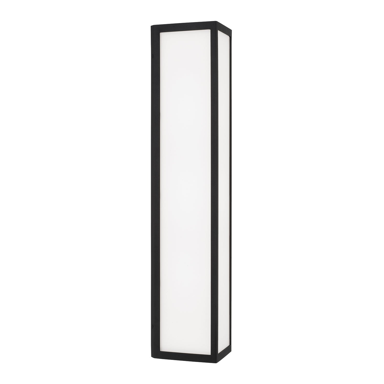 Capital Irvin Large Wall Lantern
