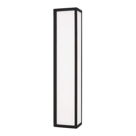 Capital Irvin Large Wall Lantern