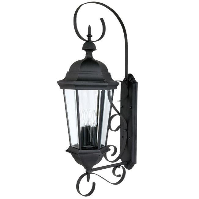 Capital Carriage House Outdoor Wall Lantern Black