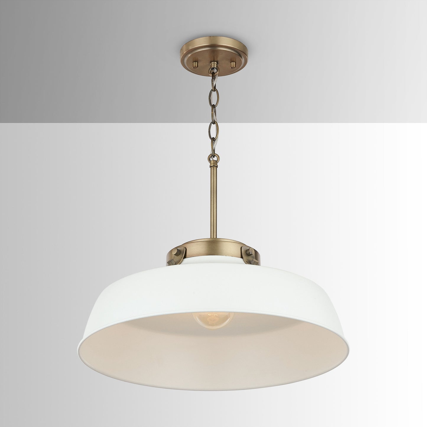 Capital Oakwood 1-Light Pendant in Warm White