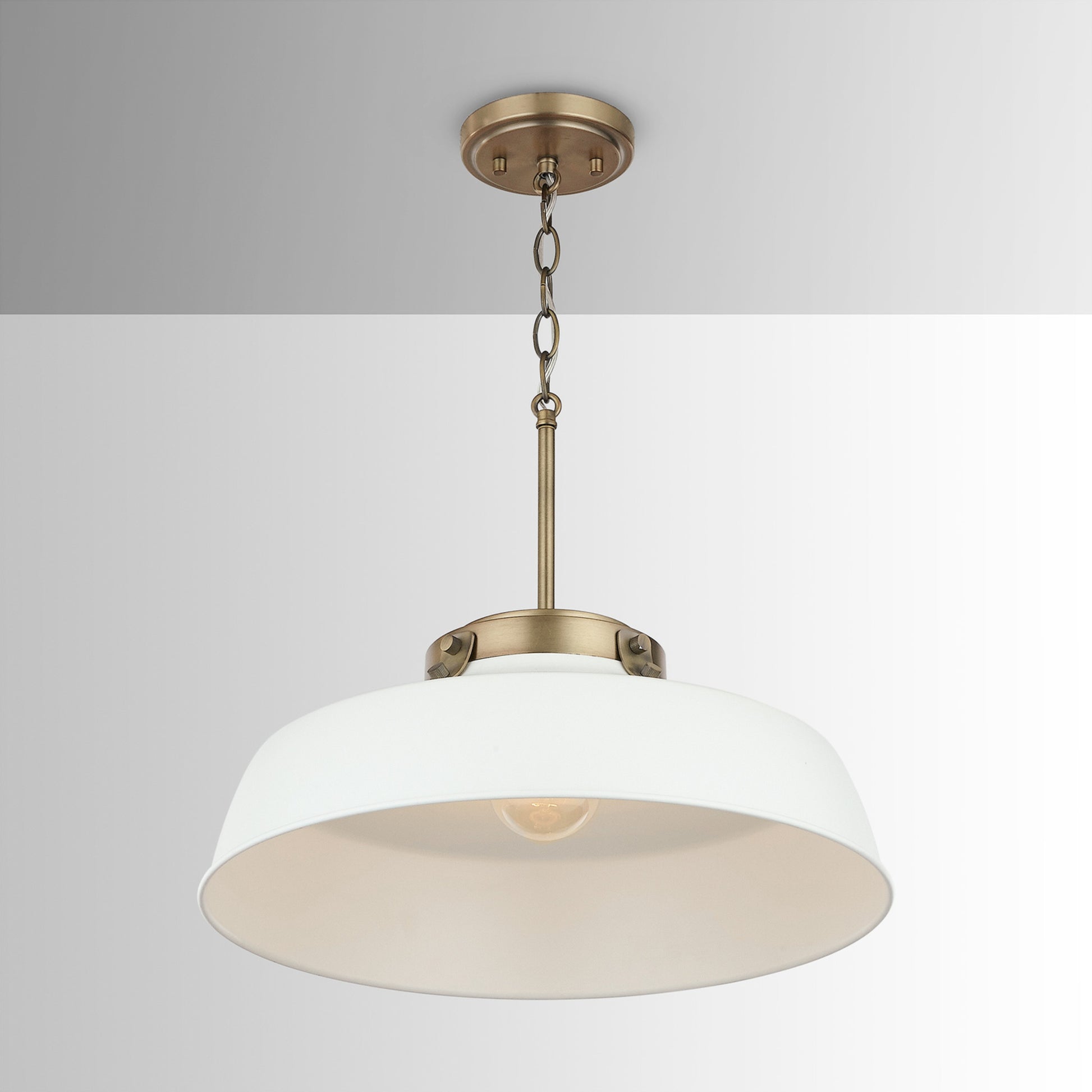 Capital Oakwood 1-Light Pendant in Warm White