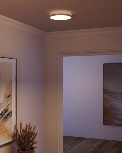 Flush Mounts-Alora Lighting-FM554211