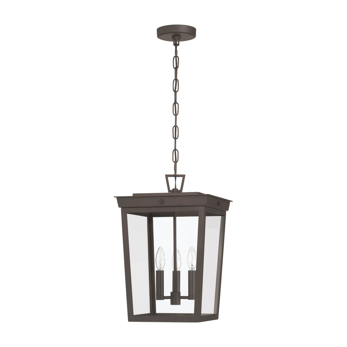 Crystorama Belmont 3-Light Outdoor Pendant - detail