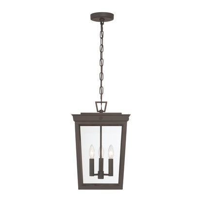 Crystorama Belmont 3-Light Outdoor Pendant - detail