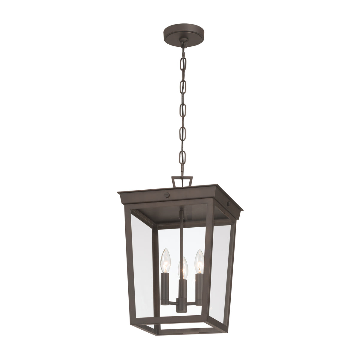 Crystorama Belmont 3-Light Outdoor Pendant - detail
