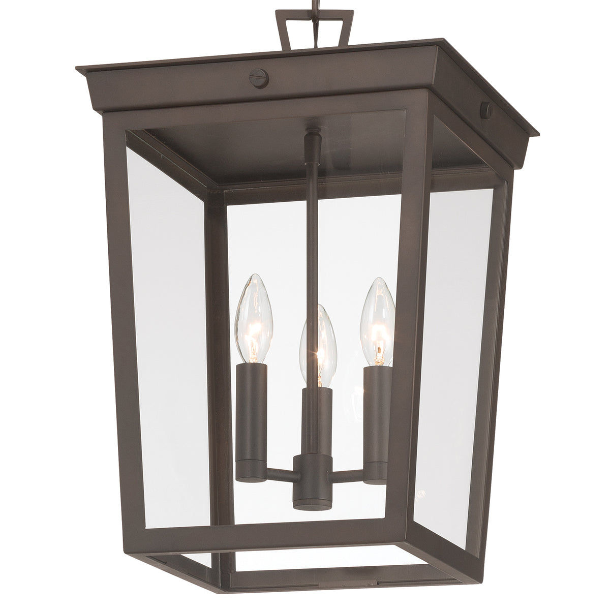 Crystorama Belmont 3-Light Outdoor Pendant - detail