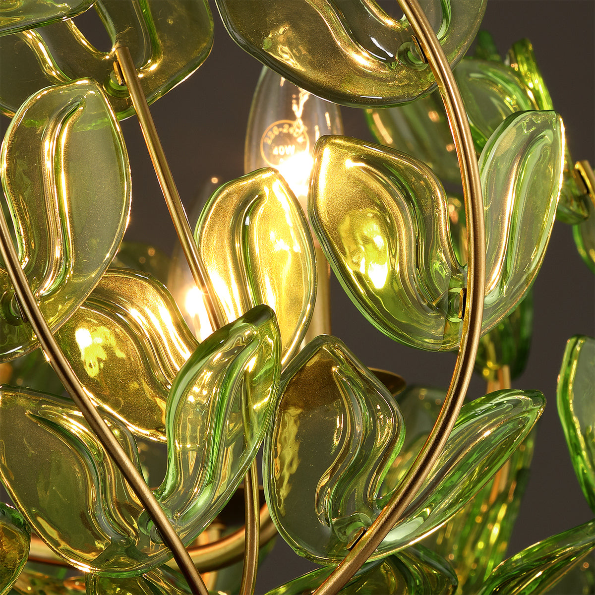 Crystorama Bridget 23.5" 5-Light Chandelier Green - detail