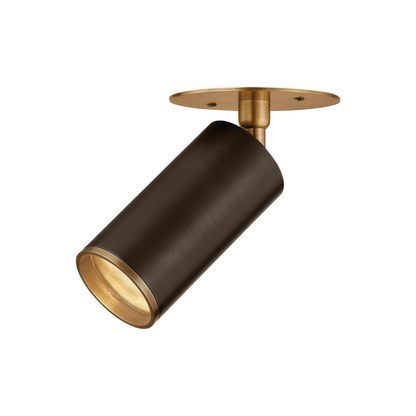 Troy Caleb Flush Mount Patina Brass / Bronze