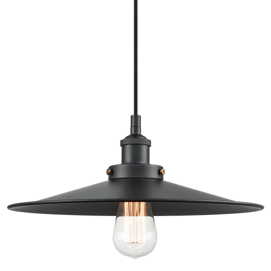 Matteo Lighting Bulstrode's Workshop 14" Pendant in Black / Black (C46113BKBK)