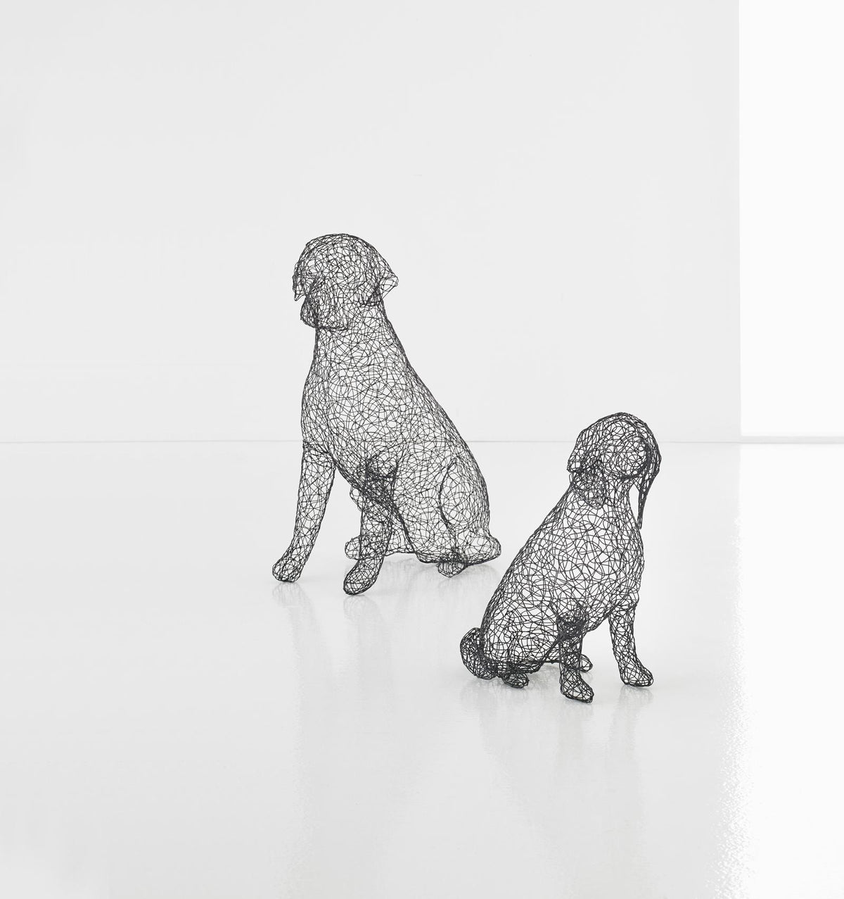 Crazy Wire Animal Sculpture