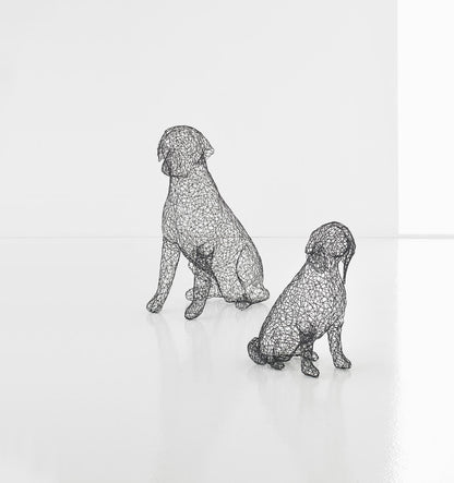 Crazy Wire Animal Sculpture