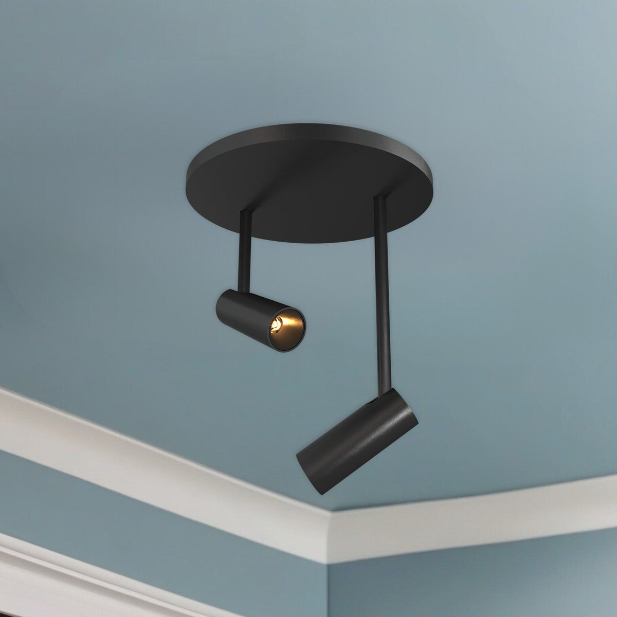 Downey 1" 2-Light LED Semi-Flush Mount
