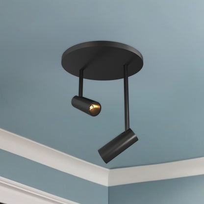 Downey 1" 2-Light LED Semi-Flush Mount