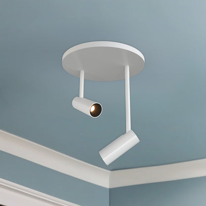 Downey 1" 2-Light LED Semi-Flush Mount