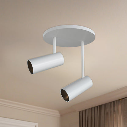 Downey 3" 2-Light LED Semi-Flush Mount