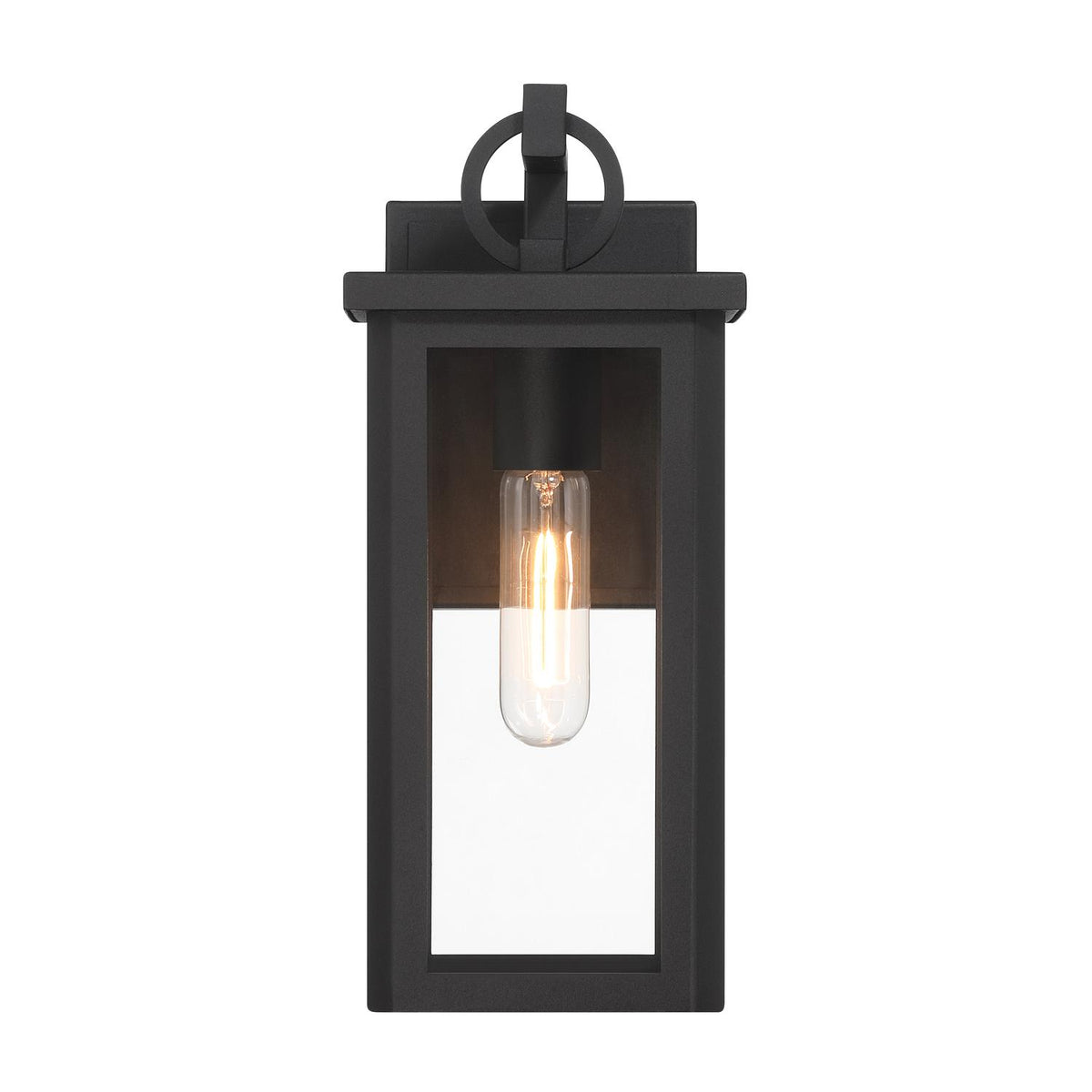 Crystorama Boadie 5.5" 1-Light Outdoor Wall Sconce - detail