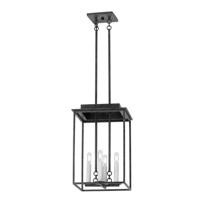 Troy Hart Outdoor Lantern French Iron