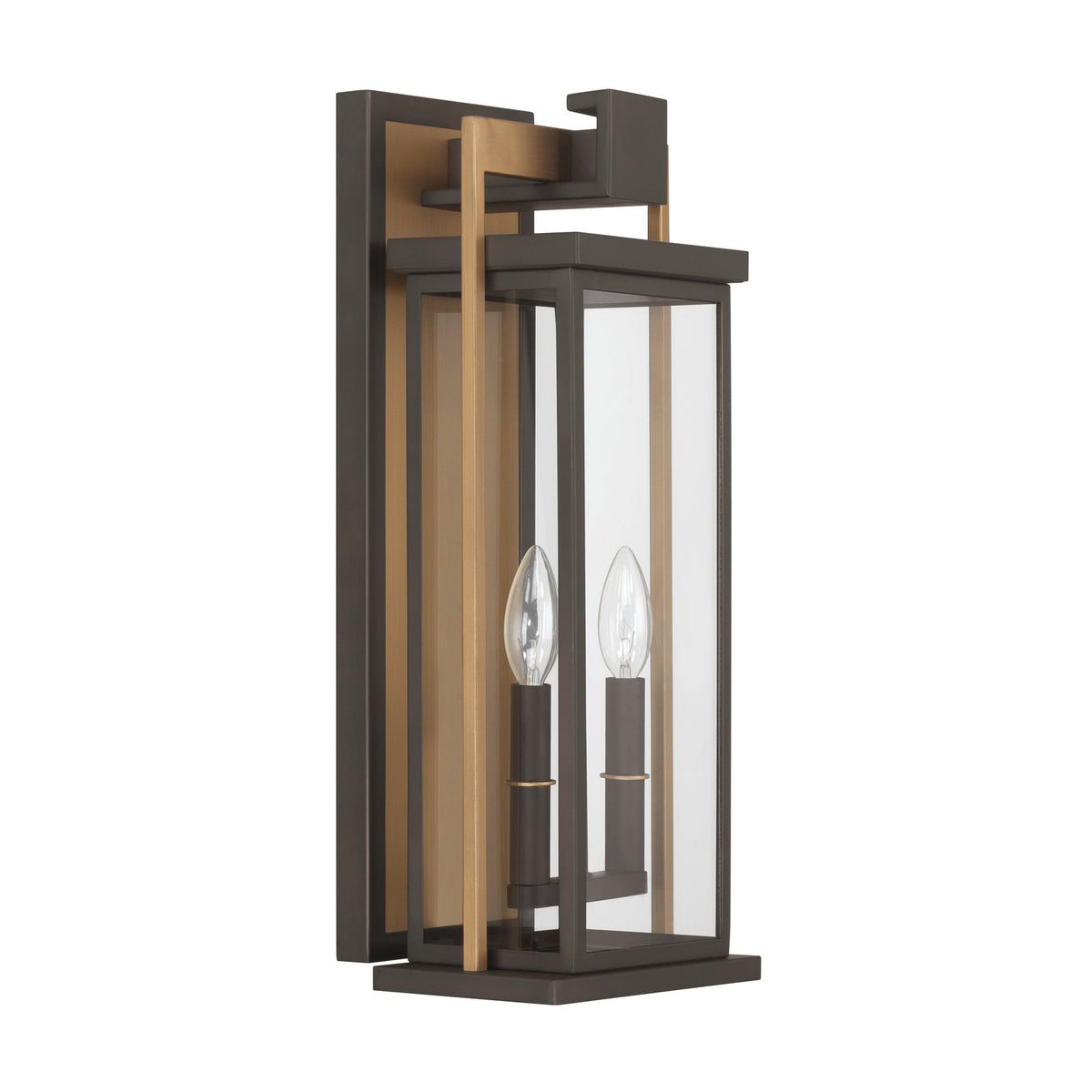 Crystorama Lendel 2-Light Outdoor Wall Light - detail