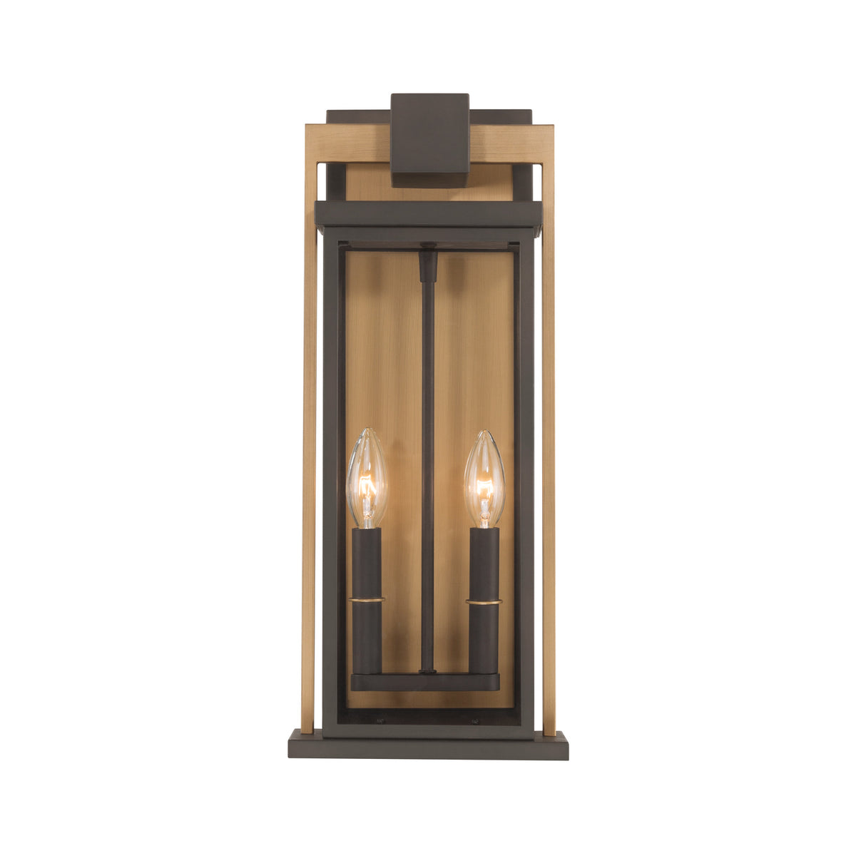 Crystorama Lendel 2-Light Outdoor Wall Light - detail