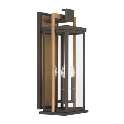 Crystorama Lendel 4-Light Outdoor Wall Light - detail
