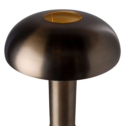 Port 68 Orion Lamp view 4
