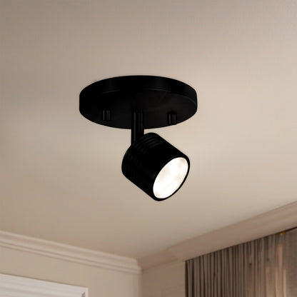 Lyra 6" Track Light