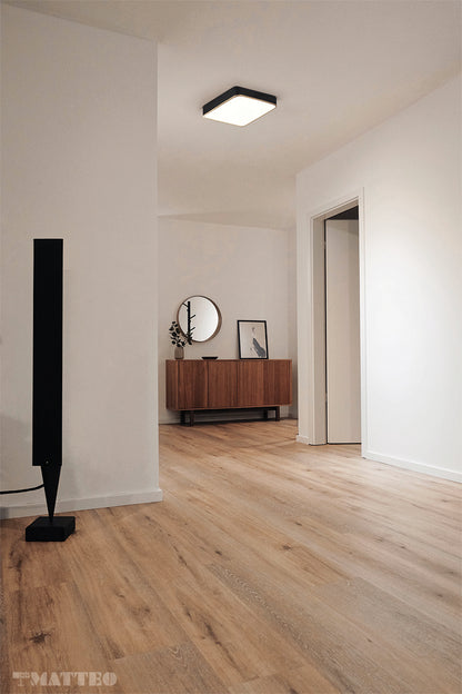 Flush Mounts-Matteo Lighting-M10545