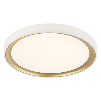 Matteo Lighting Oculus 20" LED Flush Mount in Gold (M19019GL)