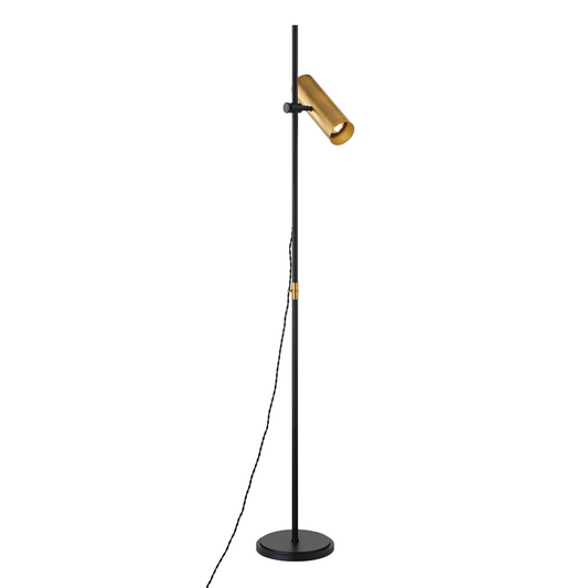 Troy Quinn Floor Lamp Patina Brass / Soft Black