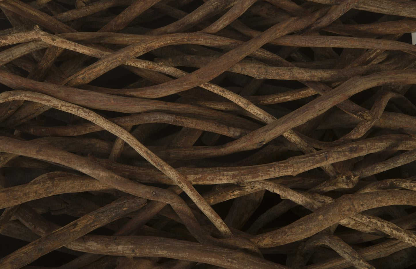 Vine Coffee Table