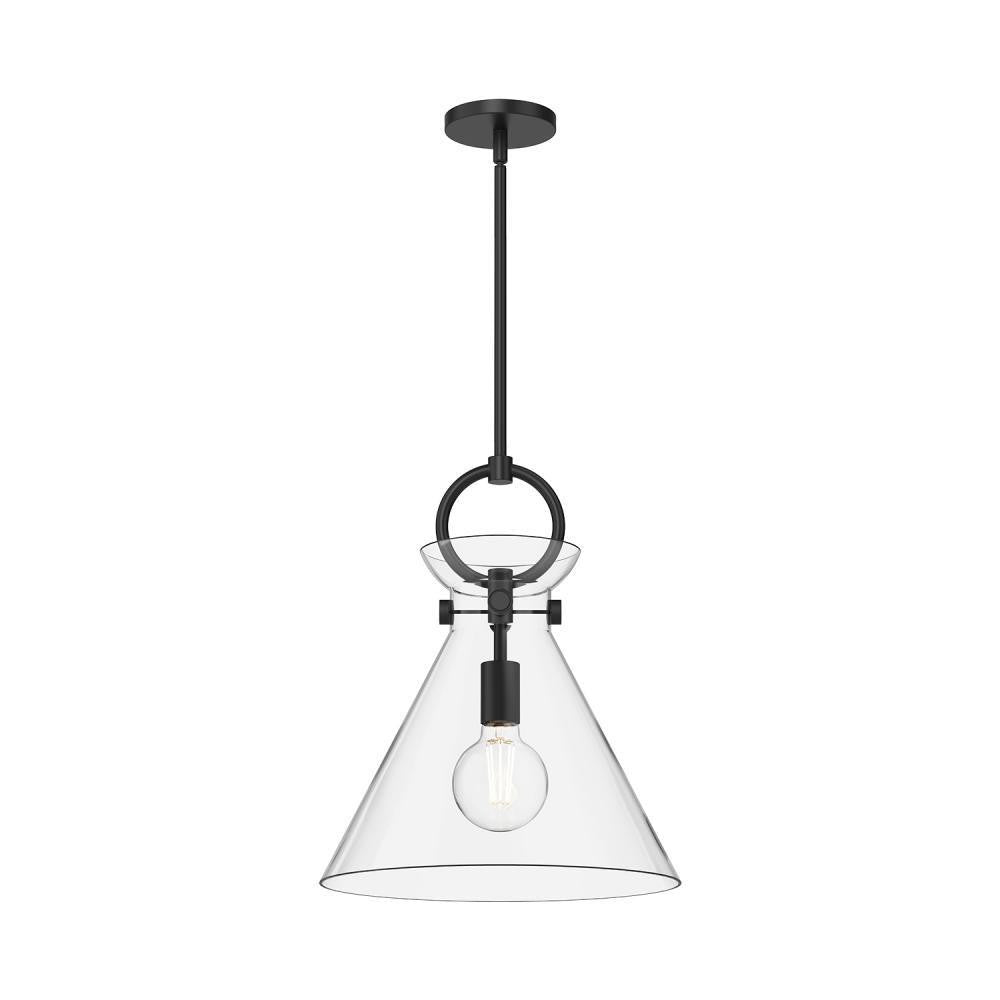 Alora Lighting Emerson Pendant, 1-Light, Matte Black, Clear Glass, 17"H