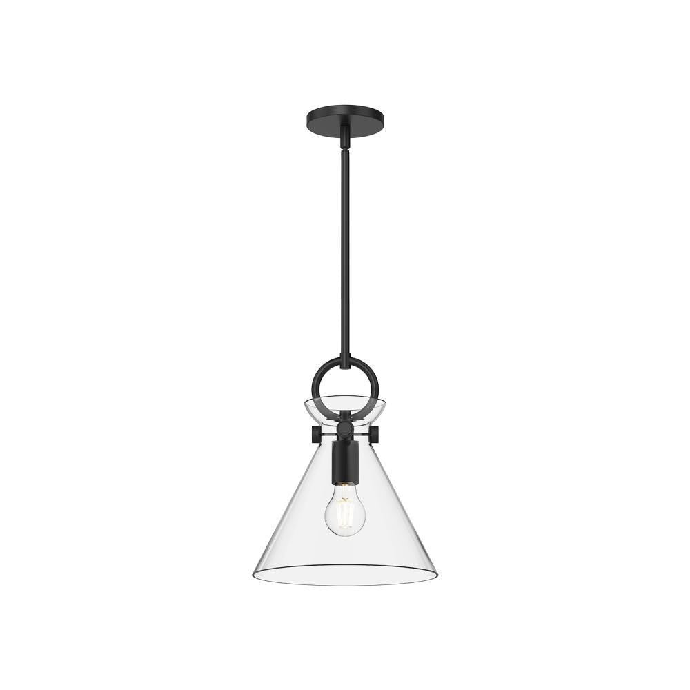 Alora Lighting Emerson 11-in Pendant Matte Black, Smoked Solid Glass